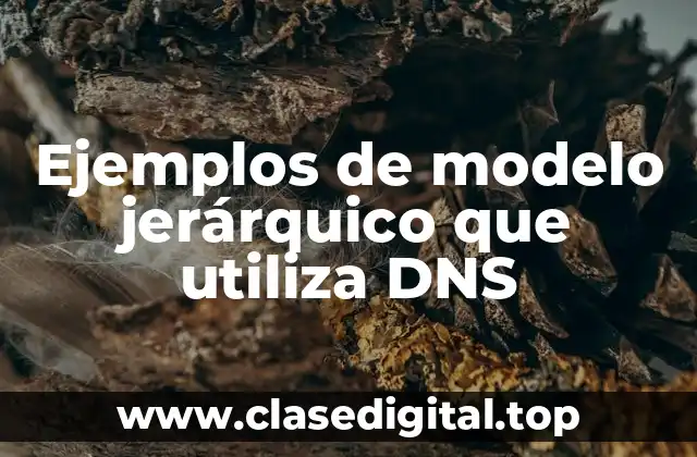 Ejemplos de modelo jerárquico que utiliza DNS