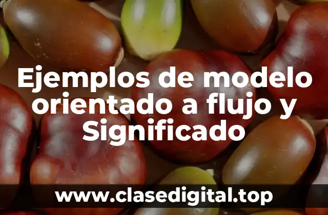 Ejemplos de modelo orientado a flujo y Significado