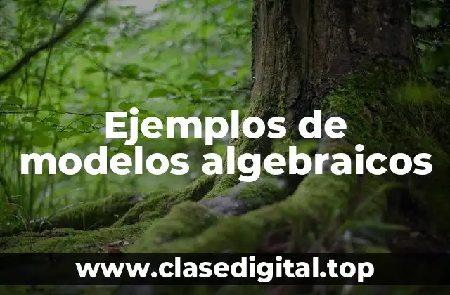 Ejemplos de modelos algebraicos