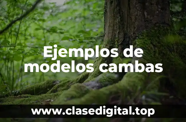 Ejemplos de modelos cambas
