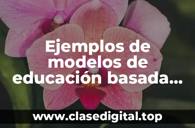 Ejemplos de modelos de educación basada en competencias del subsistema educativo