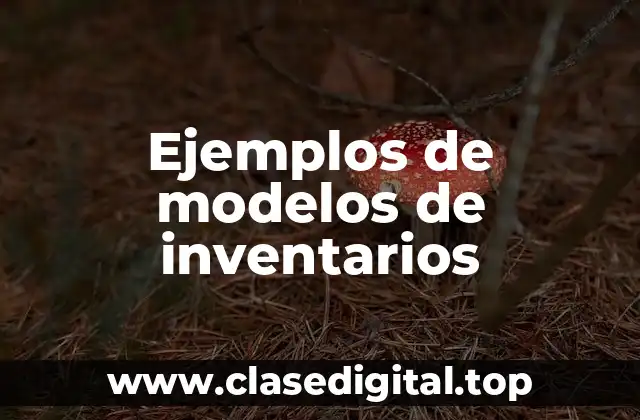 Ejemplos de modelos de inventarios