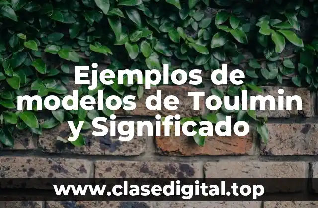 Ejemplos de modelos de Toulmin y Significado