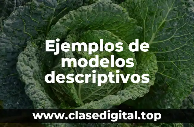 Ejemplos de modelos descriptivos