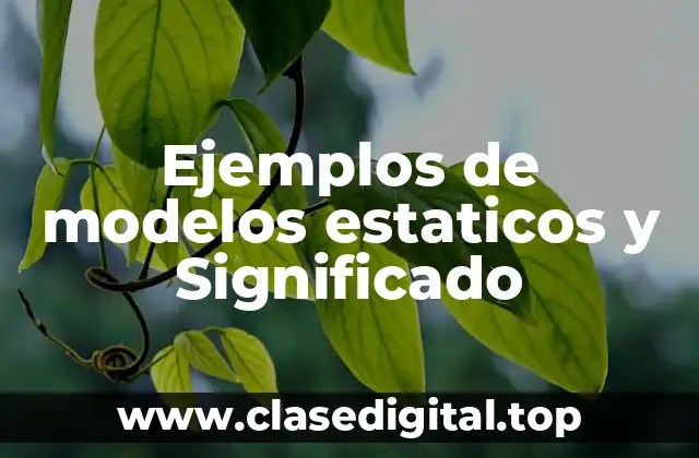 Ejemplos de modelos estaticos y Significado