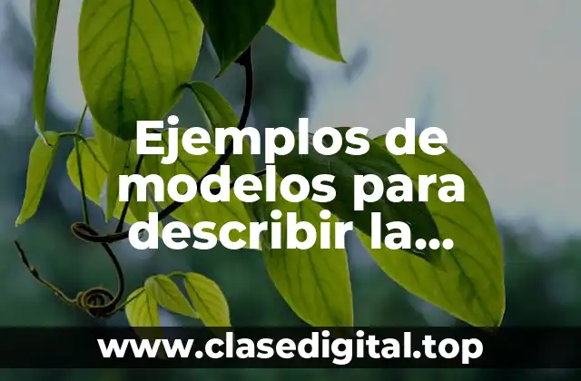 Ejemplos de modelos para describir la estructura de la materia