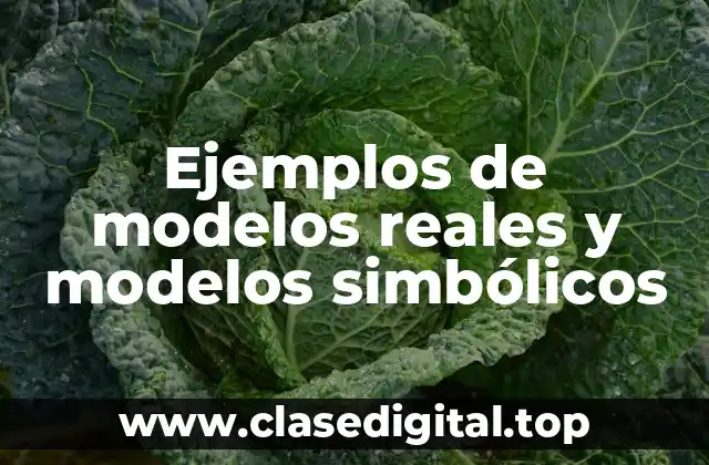 Ejemplos de modelos reales y modelos simbólicos