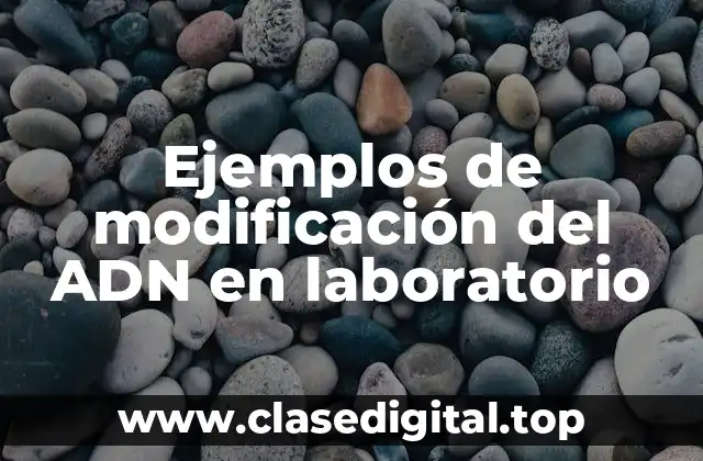 Ejemplos de modificación del ADN en laboratorio