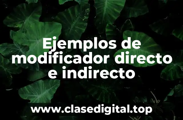 Ejemplos de modificador directo e indirecto