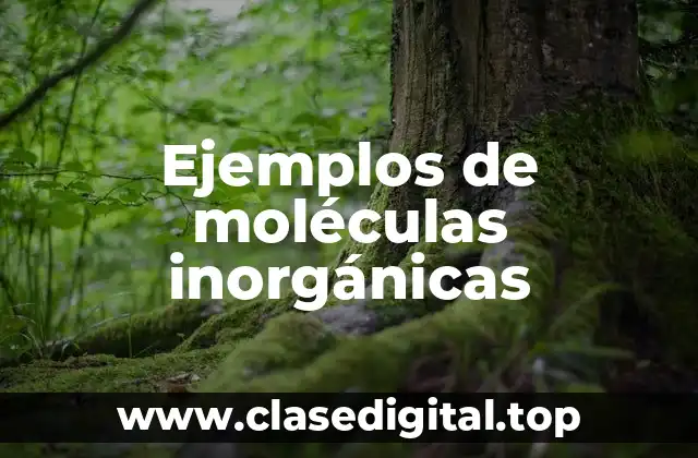 Ejemplos de moléculas inorgánicas