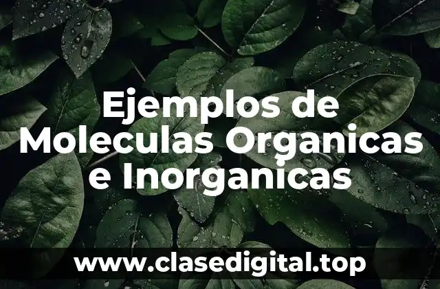 Ejemplos de Moleculas Organicas e Inorganicas