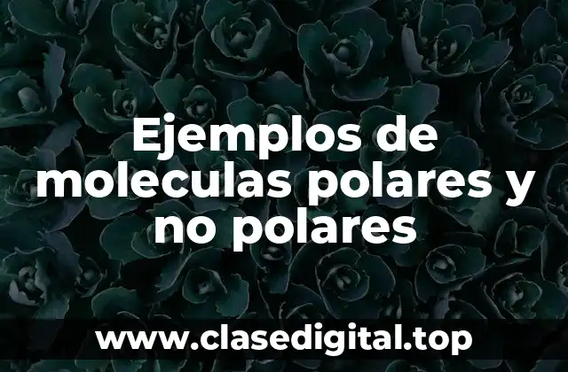 Ejemplos de moleculas polares y no polares