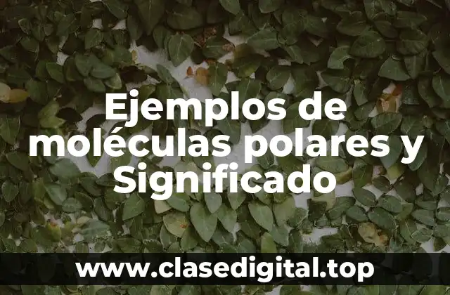 Ejemplos de moléculas polares y Significado