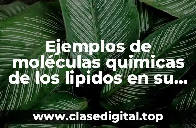 Ejemplos de moléculas químicas de los lipidos en su estructura