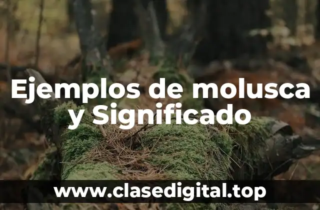 Ejemplos de molusca y Significado