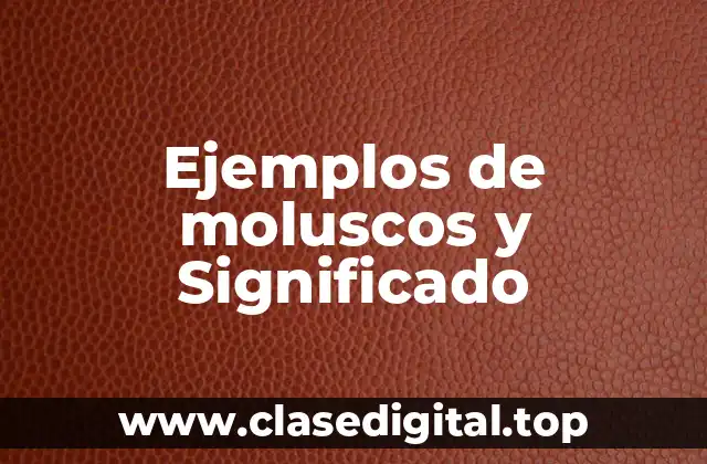 Ejemplos de moluscos y Significado