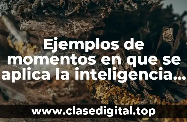 Ejemplos de momentos en que se aplica la inteligencia naturalista