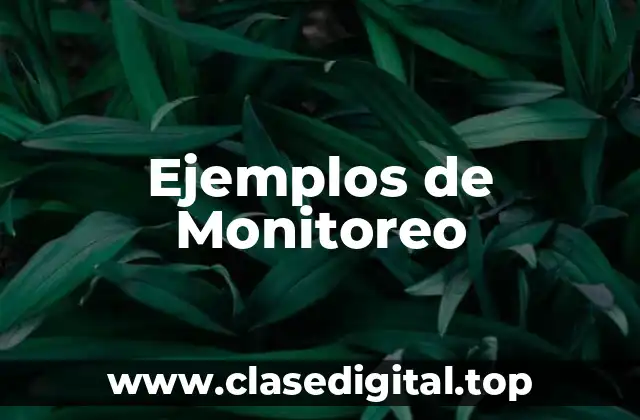 Ejemplos de Monitoreo
