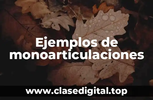 Ejemplos de monoarticulaciones