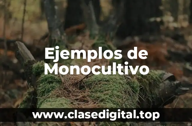 Ejemplos de Monocultivo