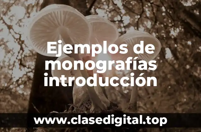 Ejemplos de monografías introducción