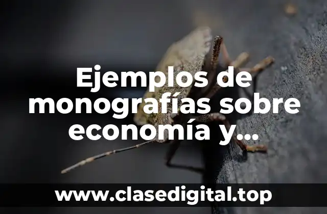 Ejemplos de monografías sobre economía y Significado