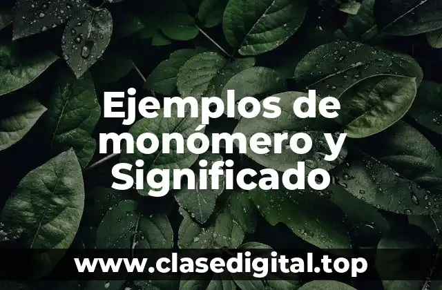 Ejemplos de monómero