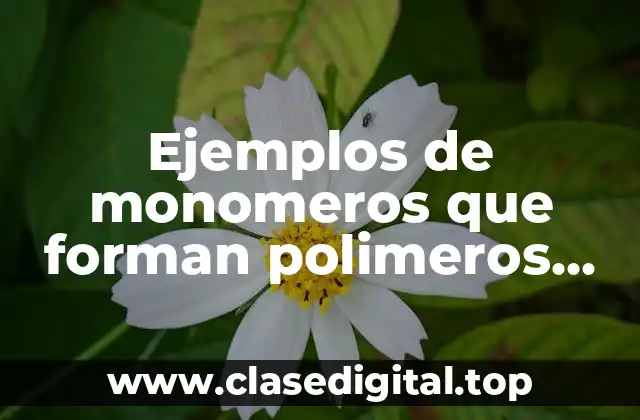 Ejemplos de monomeros que forman polimeros sintéticos y Significado