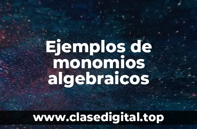 Ejemplos de monomios algebraicos