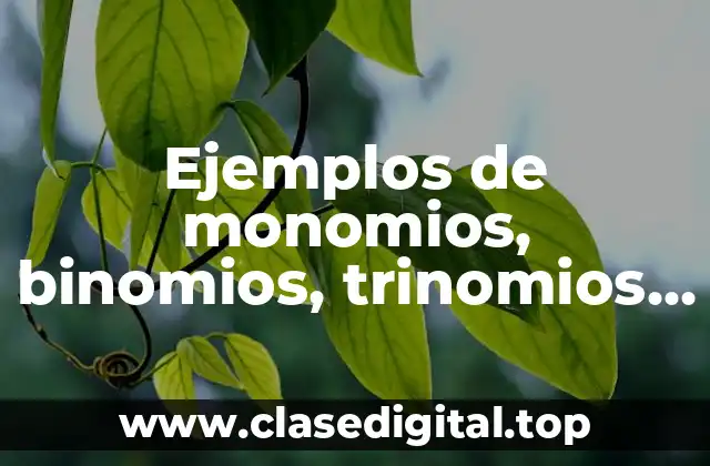 Ejemplos de monomios, binomios, trinomios y polinomios