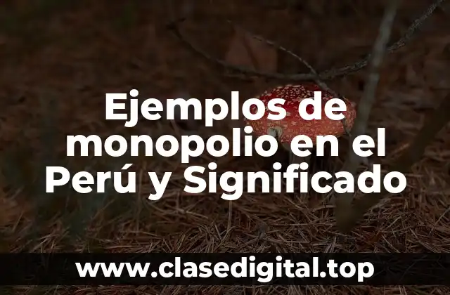 Ejemplos de monopolio en el Perú y Significado
