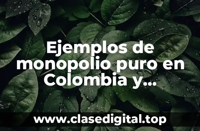 Ejemplos de monopolio puro en Colombia y Significado