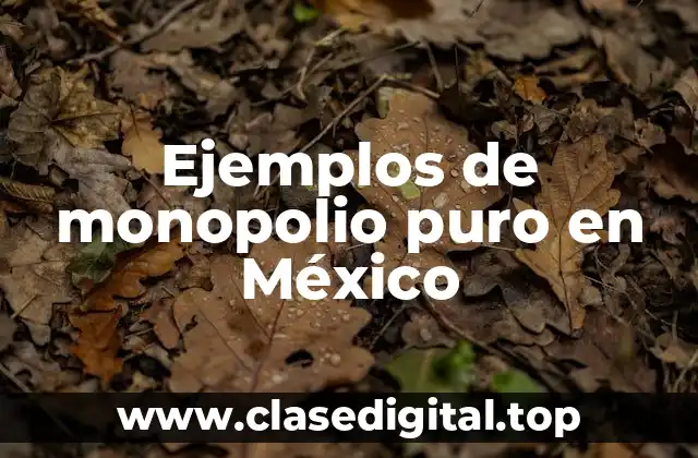Ejemplos de monopolio puro en México