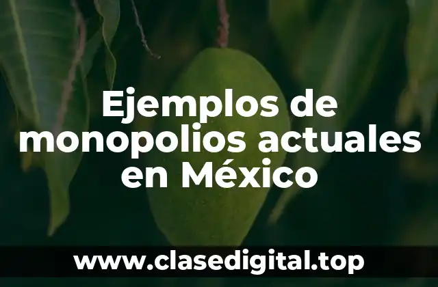 Ejemplos de monopolios actuales en México