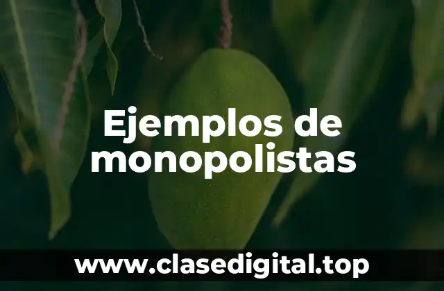 Ejemplos de monopolistas
