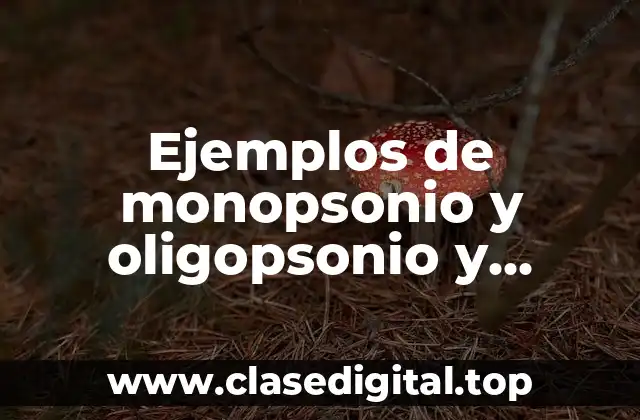 Ejemplos de monopsonio y oligopsonio y Significado