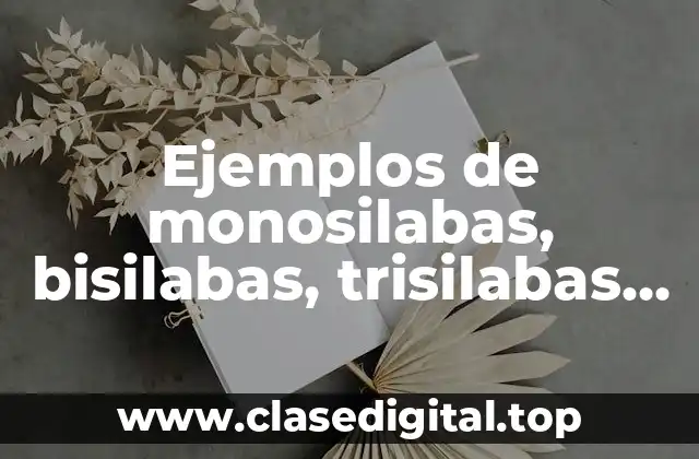 Ejemplos de monosilabas, bisilabas, trisilabas, tetrasilabas y polisilabas
