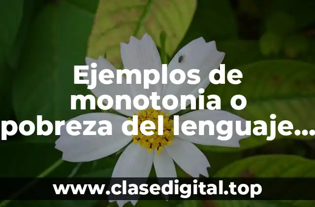 Ejemplos de monotonia o pobreza del lenguaje y Significado