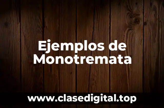 Ejemplos de Monotremata