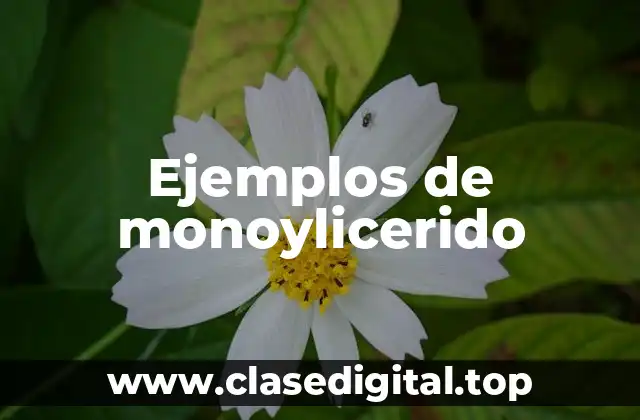 Ejemplos de monoylicerido