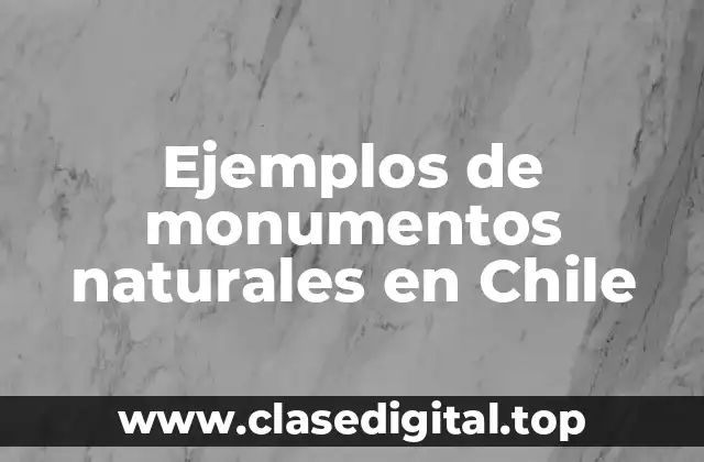 Ejemplos de monumentos naturales en Chile