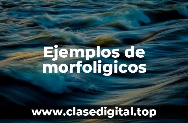 Ejemplos de morfoligicos