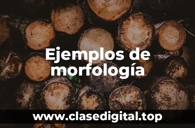 Ejemplos de morfología