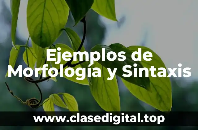 Ejemplos de Morfología