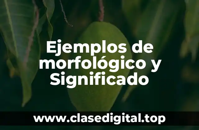 Ejemplos de morfológico y Significado