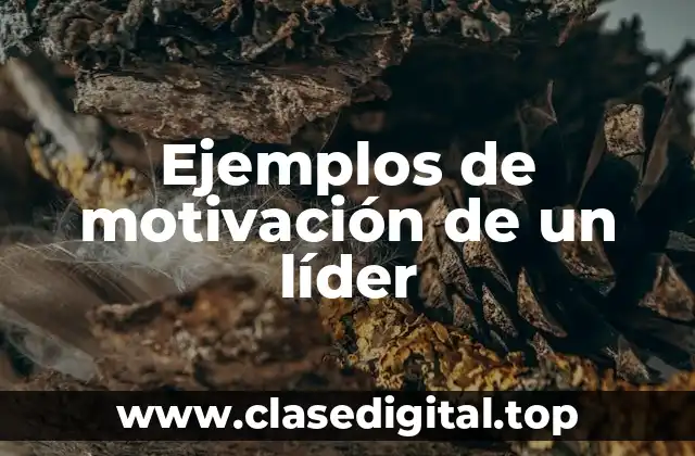 Ejemplos de motivación de un líder
