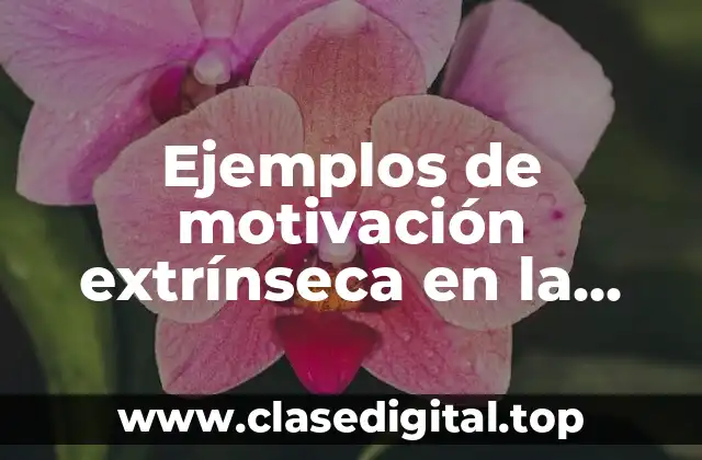 Ejemplos de motivación extrínseca en la escuela