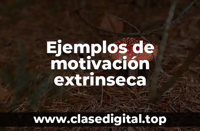 Ejemplos de motivación extrinseca