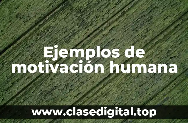 Ejemplos de motivación humana