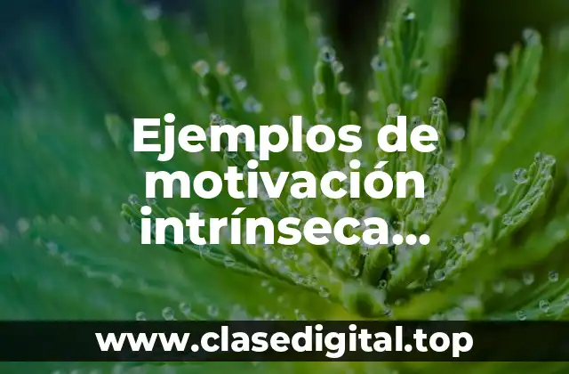 Ejemplos de motivación intrínseca, extrínseca y trascendental